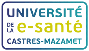 Logo 18 ans d'Université de la e-Santé - 2006-2024